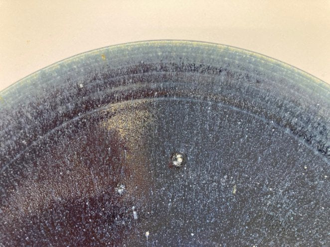 【暮らしに寄り添う】テーブルを彩る紺碧色のパスタ皿セット