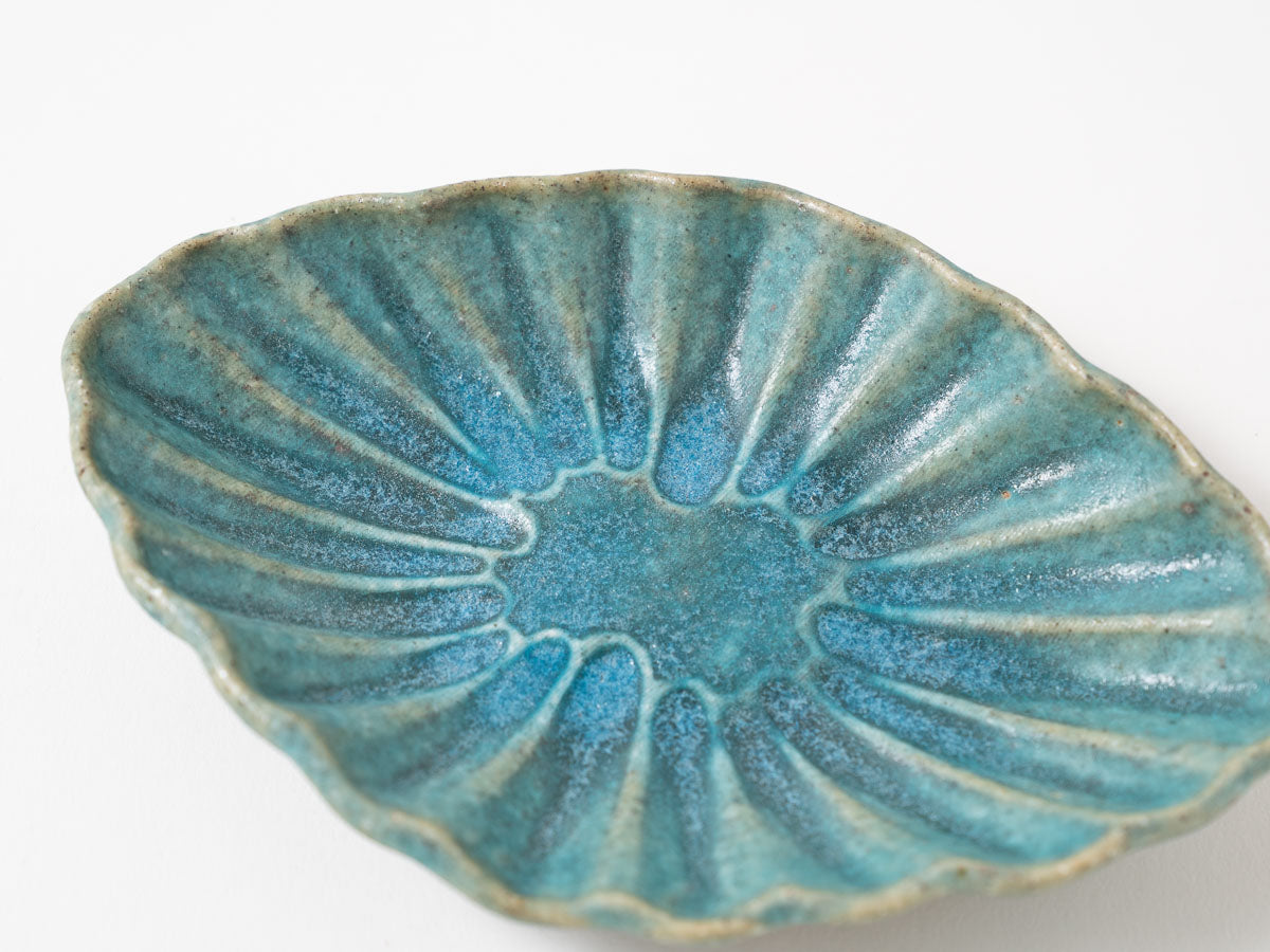 菊花オーバル S 青【藤原純ex25】