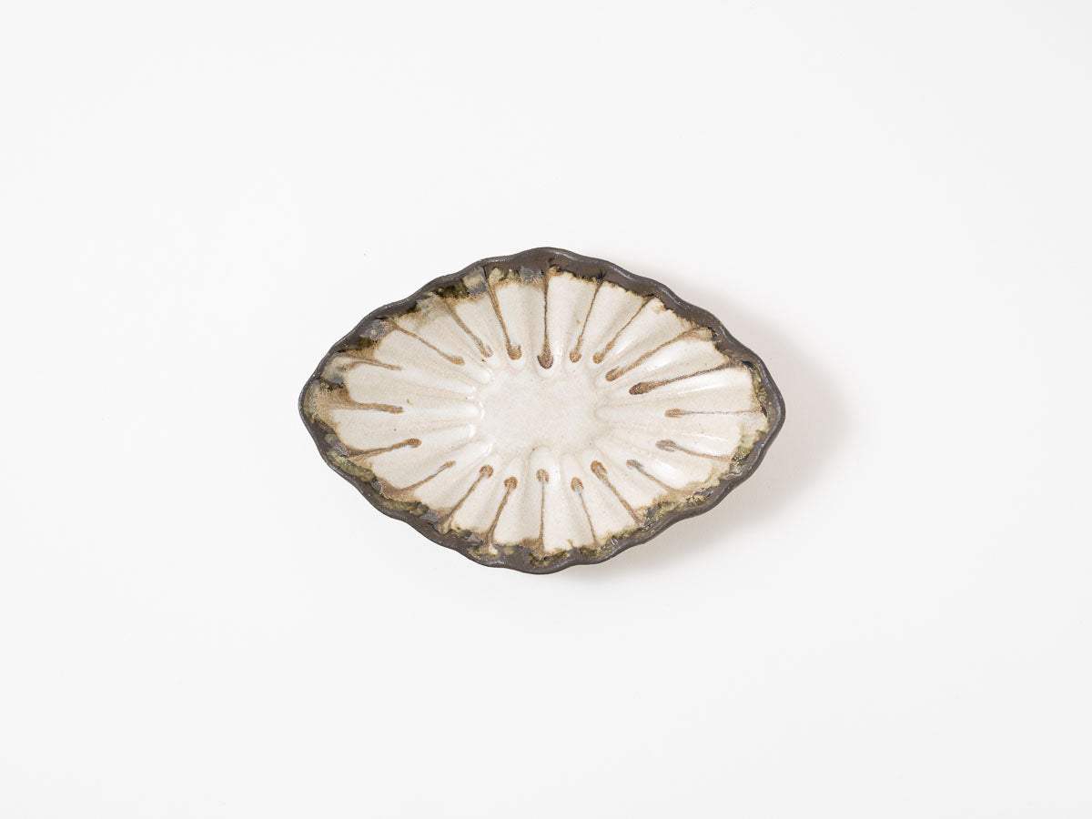 菊花オーバル S 白【藤原純ex25】