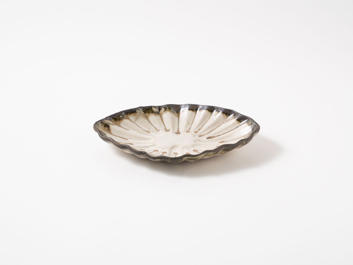 菊花オーバル S 白【藤原純ex25】