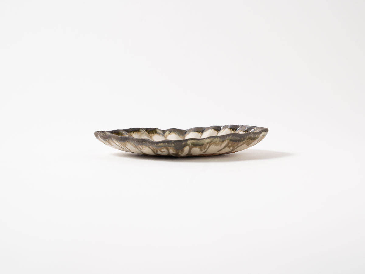 菊花オーバル S 白【藤原純ex25】