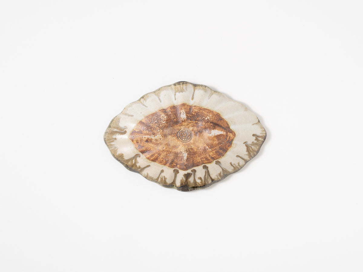 菊花オーバル S 白【藤原純ex25】