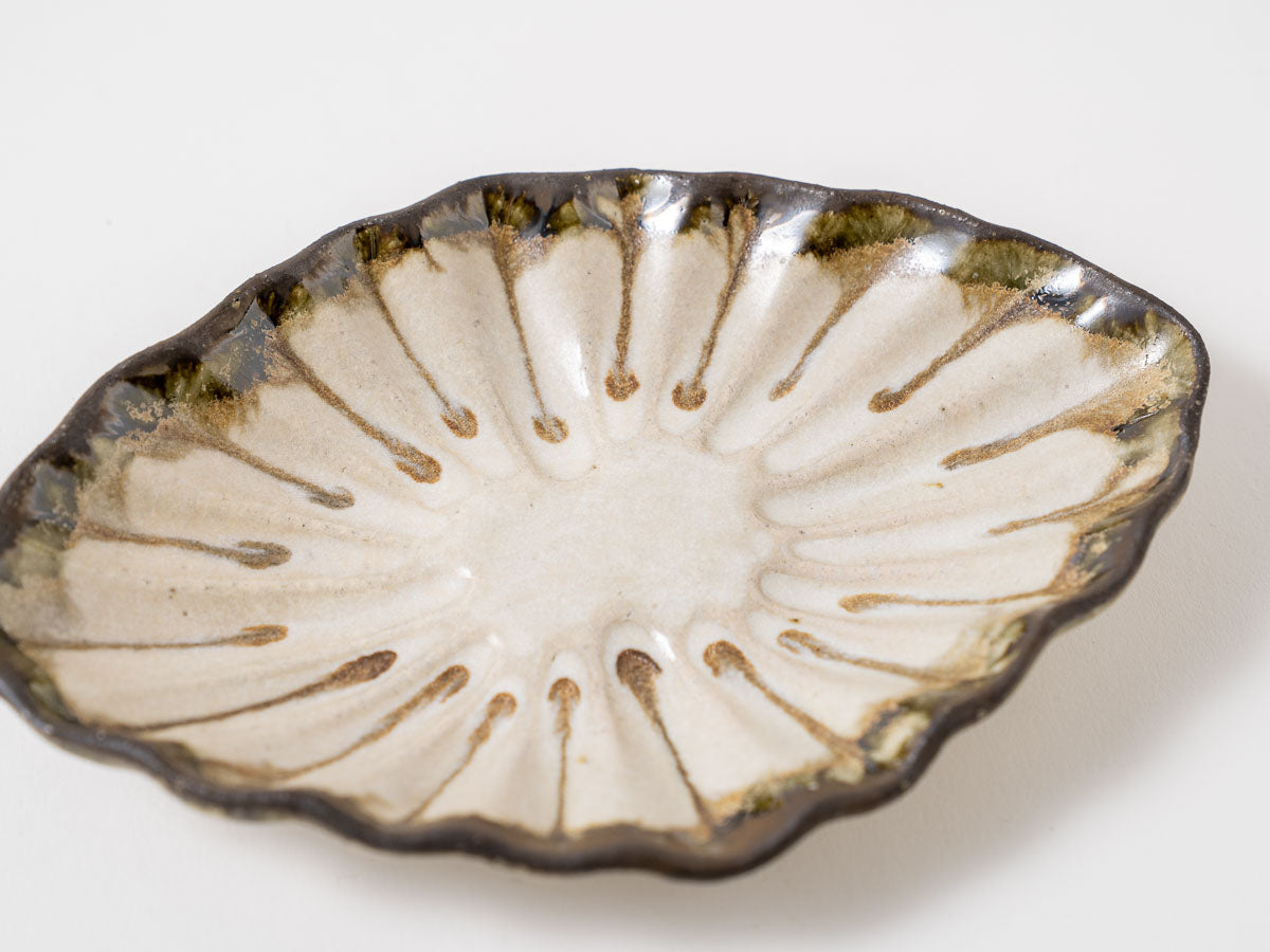 菊花オーバル S 白【藤原純ex25】