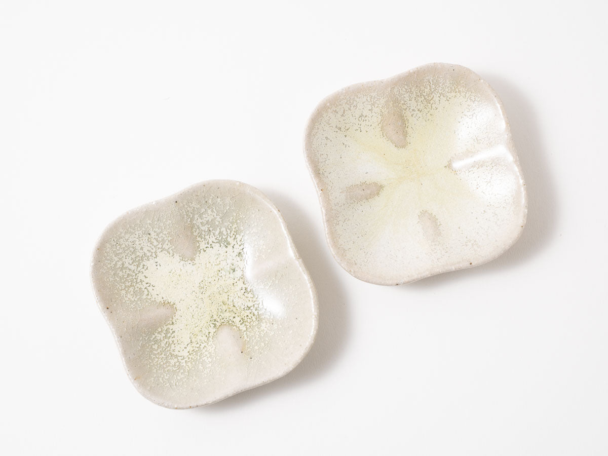 まるスクエアプレート S 白抹茶【藤原志鈴香】