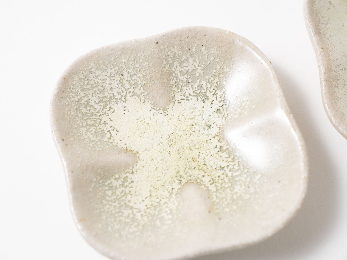 まるスクエアプレート S 白抹茶【藤原志鈴香】