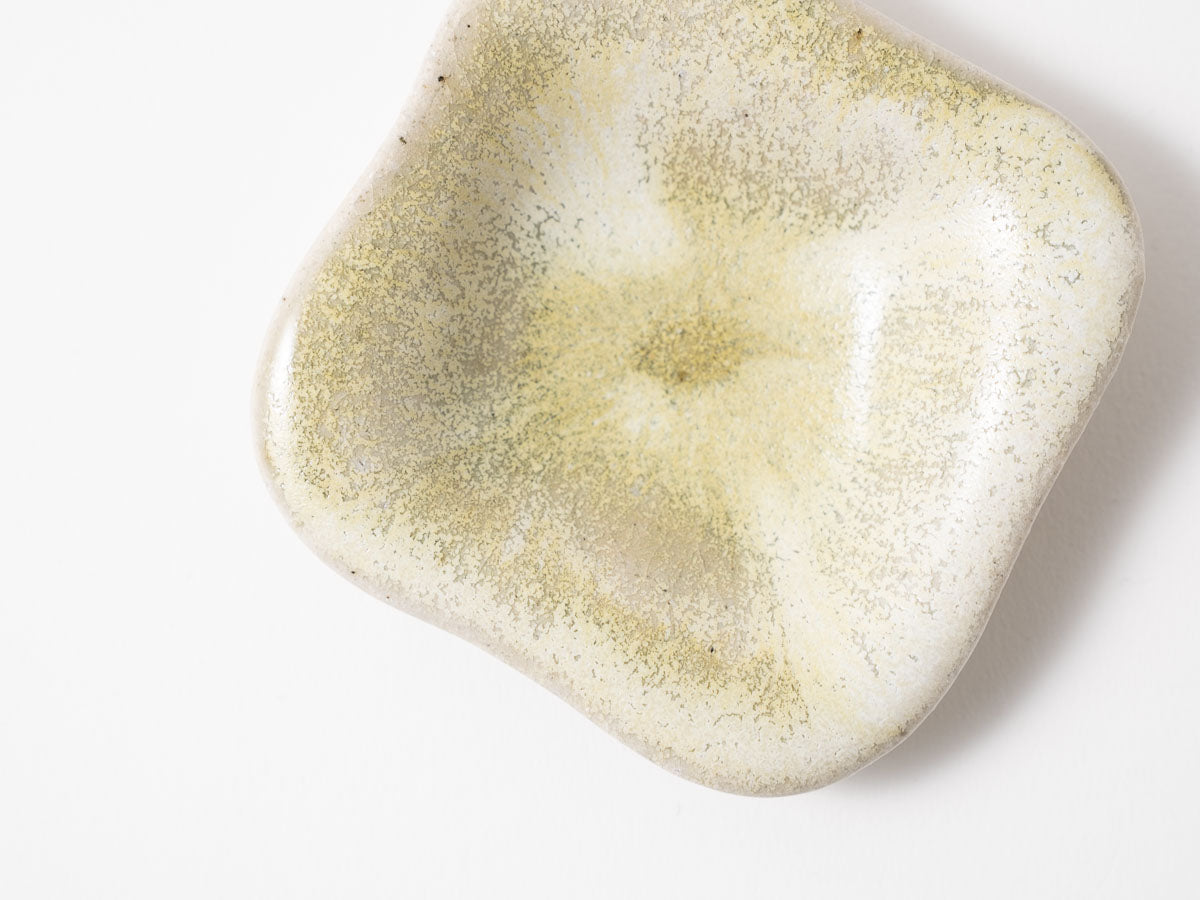 オド鉢 SS 白抹茶【藤原志鈴香】