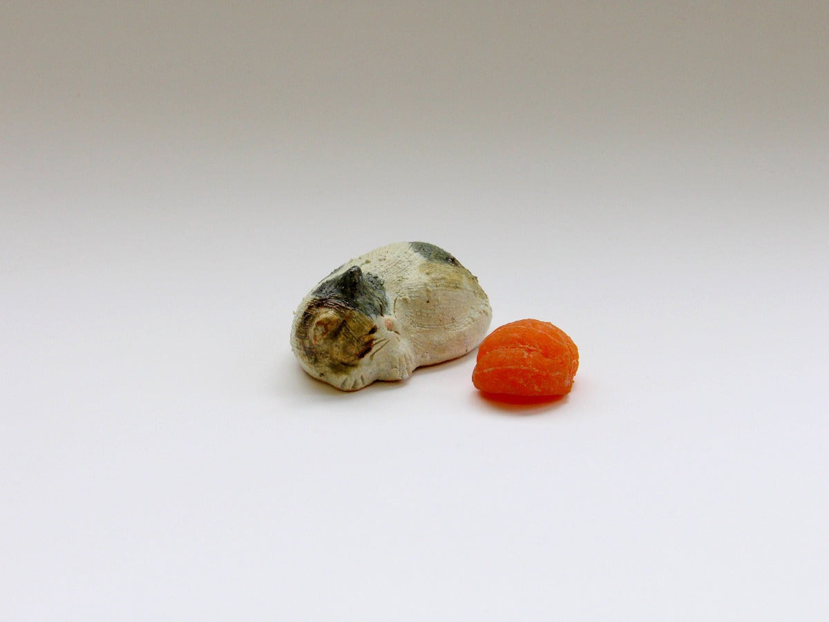 ねむり猫 ミケ【前川幸市】