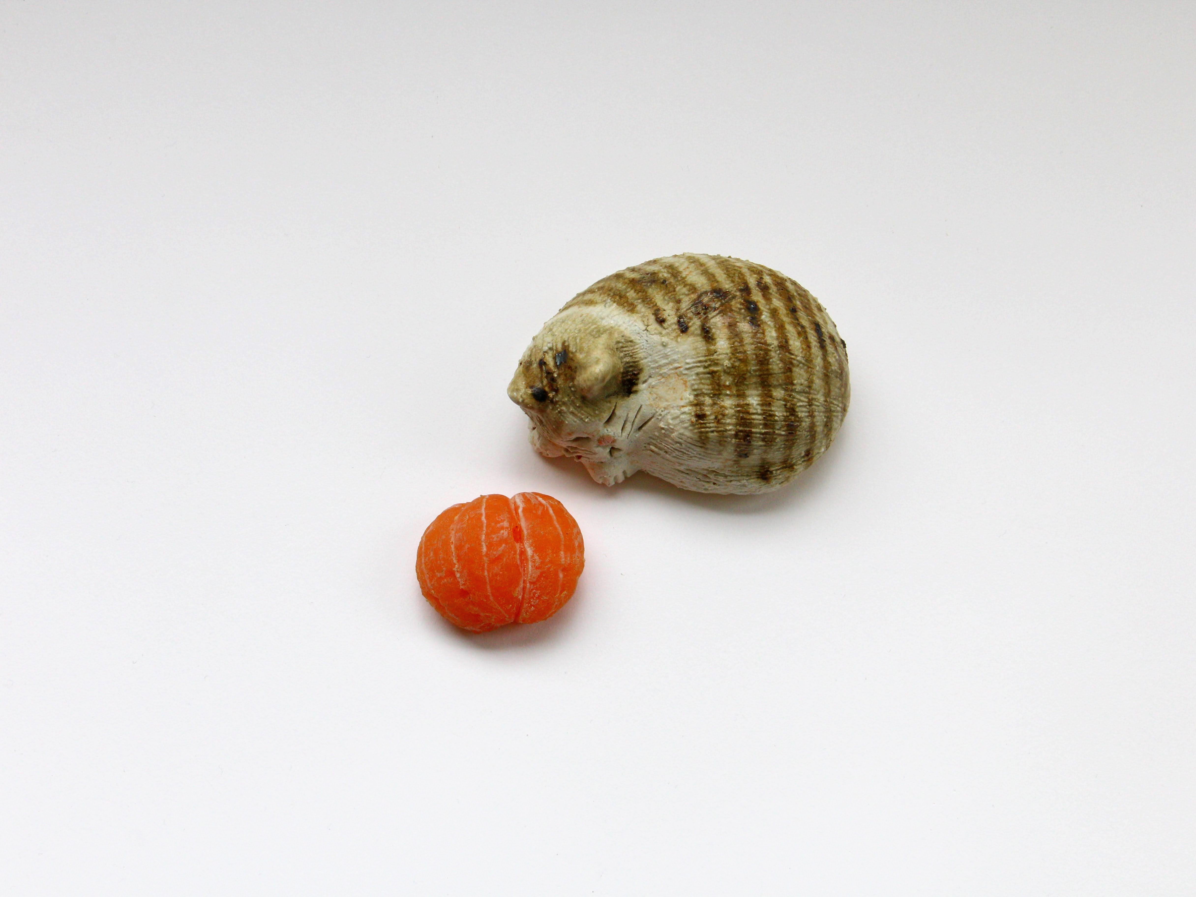 ねむり猫 キジ【前川幸市】