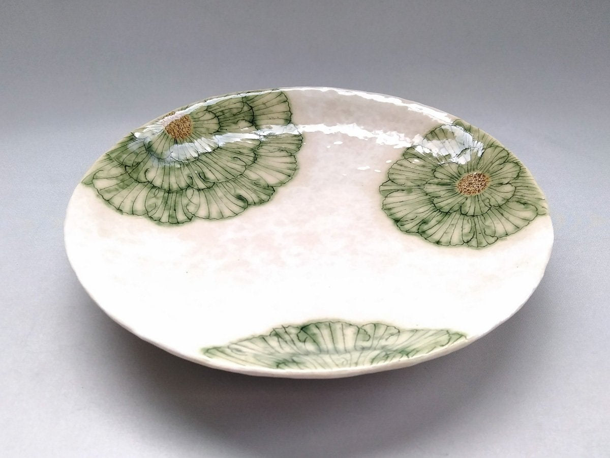 粉引地牡丹7.5寸丸皿 緑【加藤芳平】