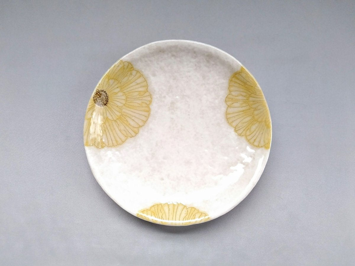 粉引地牡丹6.5寸丸皿 黄【加藤芳平】
