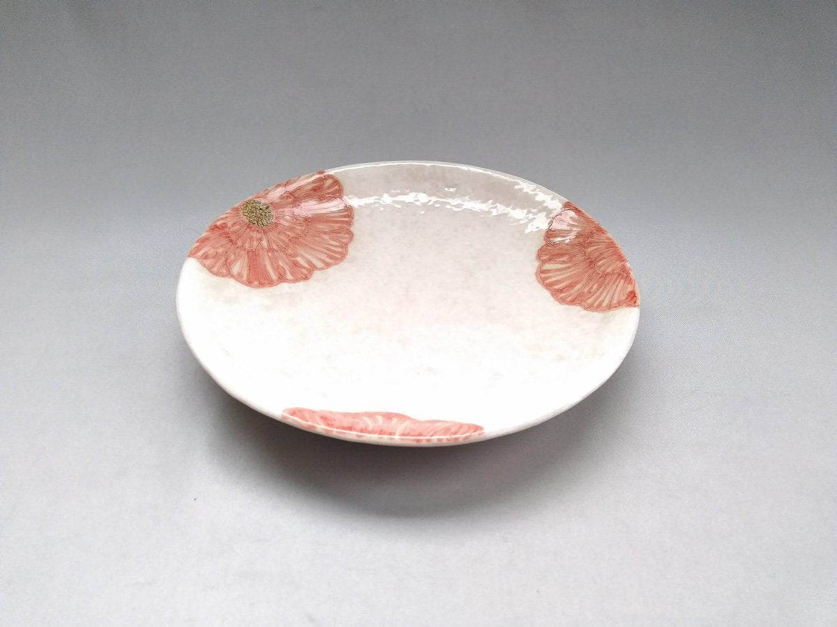 粉引地牡丹6.5寸丸皿 赤【加藤芳平】