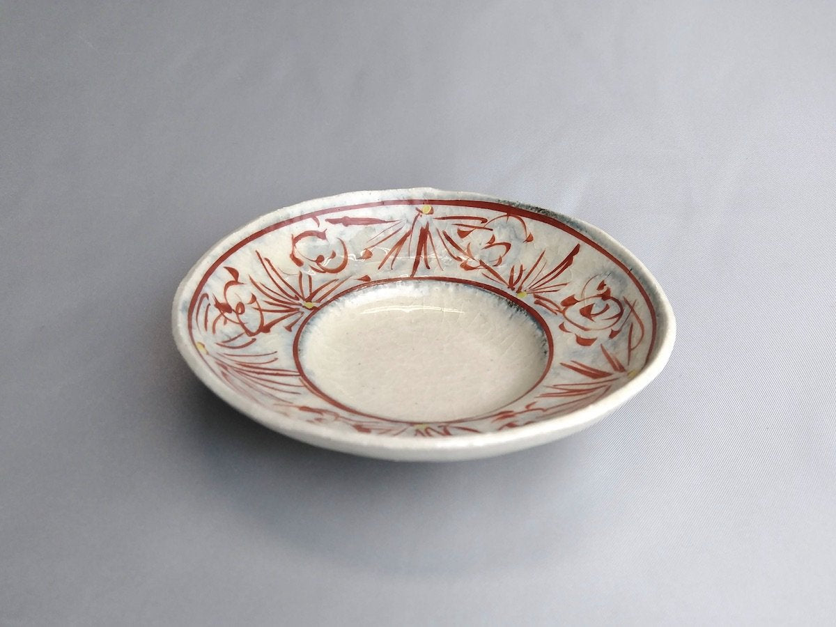 安南赤絵4寸リム鉢【日比野正明】