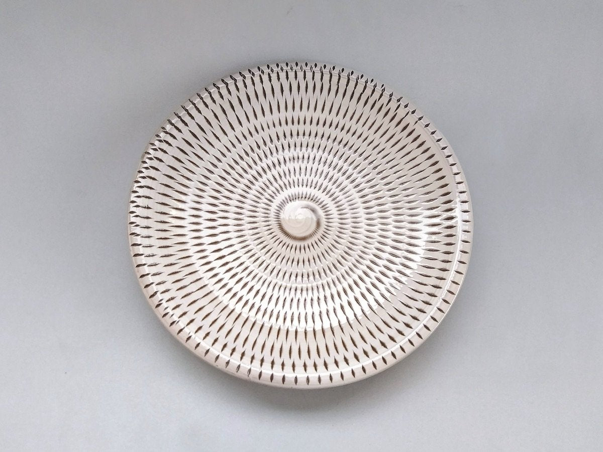 とびかんな7寸皿【宝山窯】