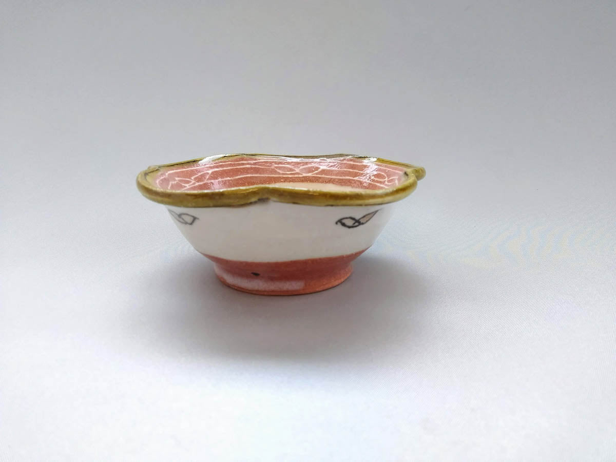 輪花小鉢 ピンク 花といっちん葉【加藤淳】