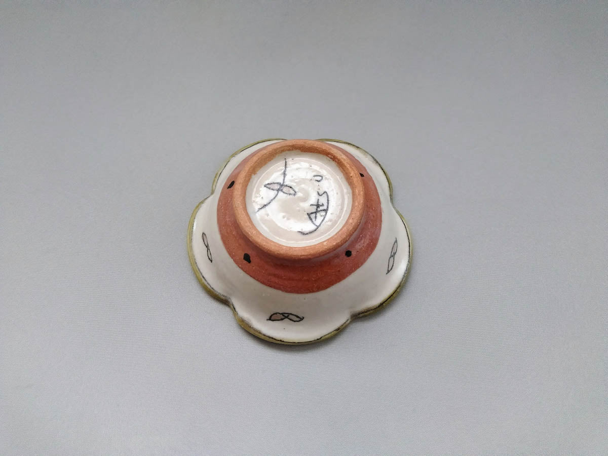 輪花小鉢 ピンク 花といっちん葉【加藤淳】