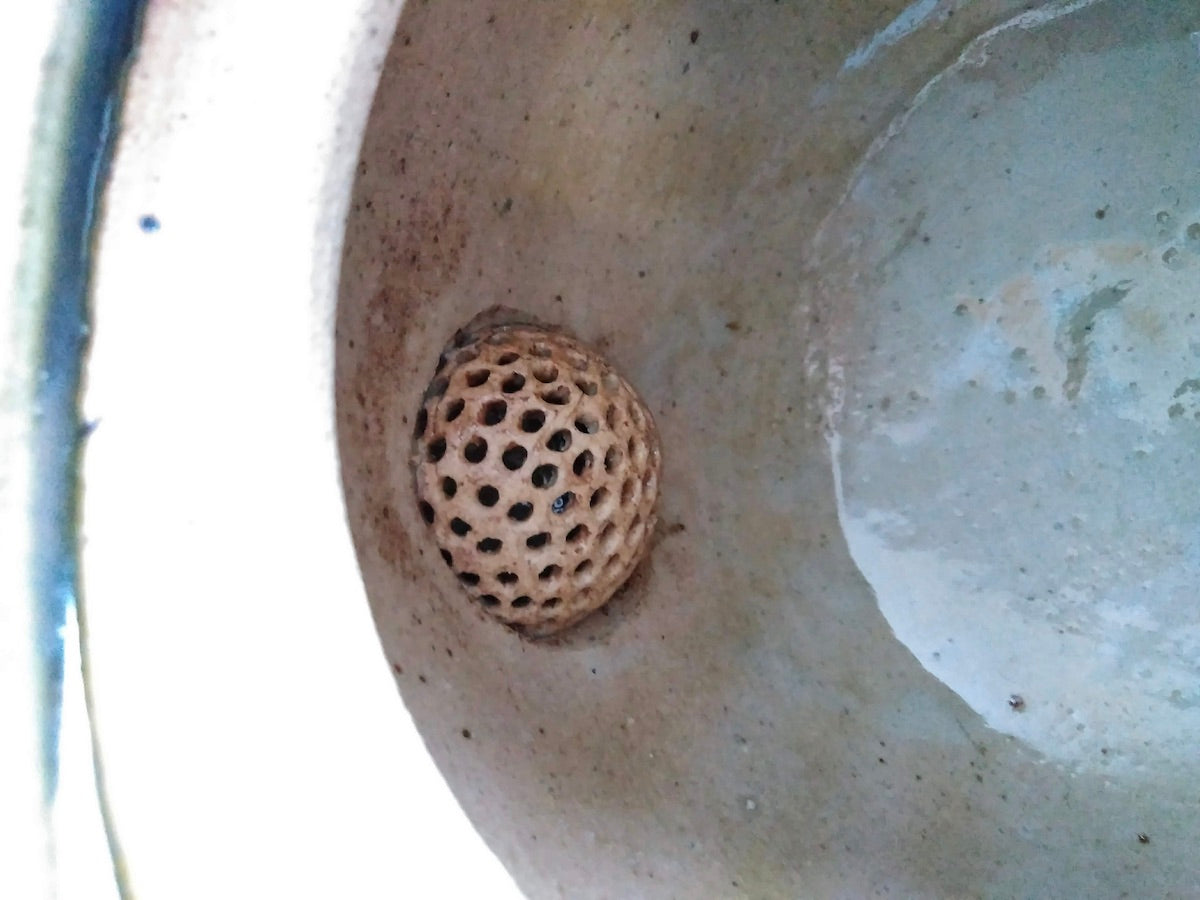 織部しのぎ急須【小栗大幸】