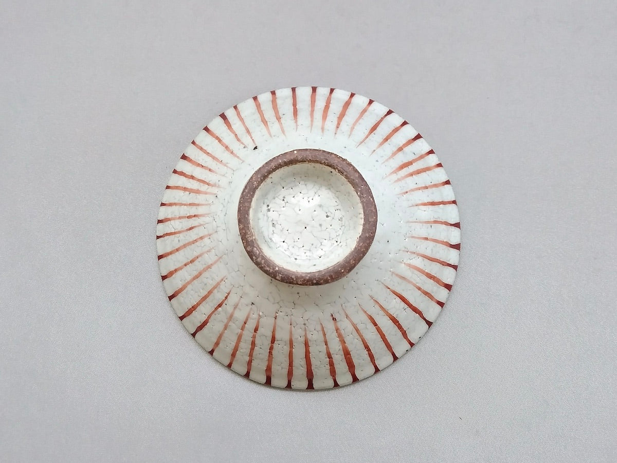 粉引十草平飯碗小赤【三浦繁久】