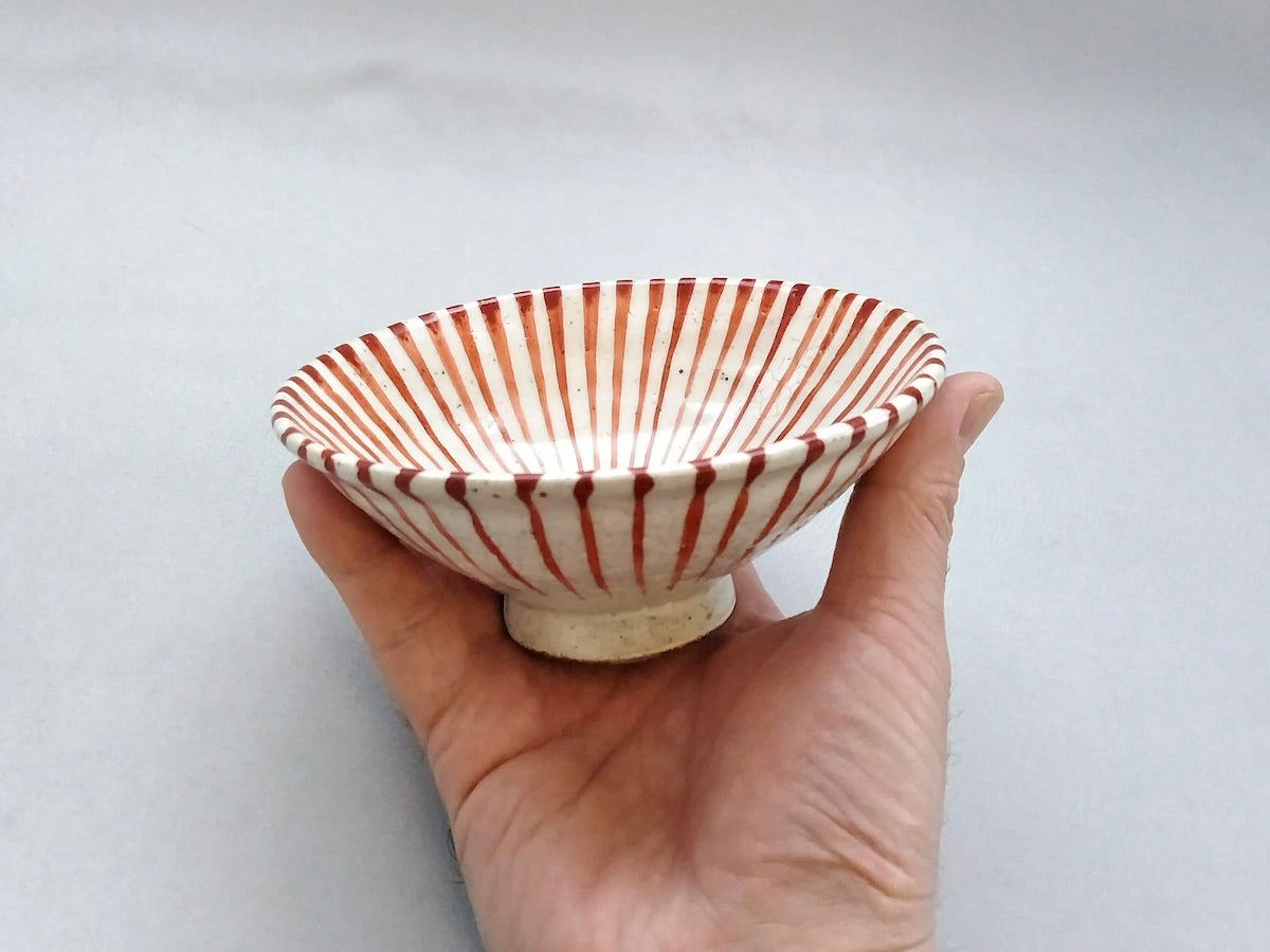 粉引十草平飯碗小赤【三浦繁久】