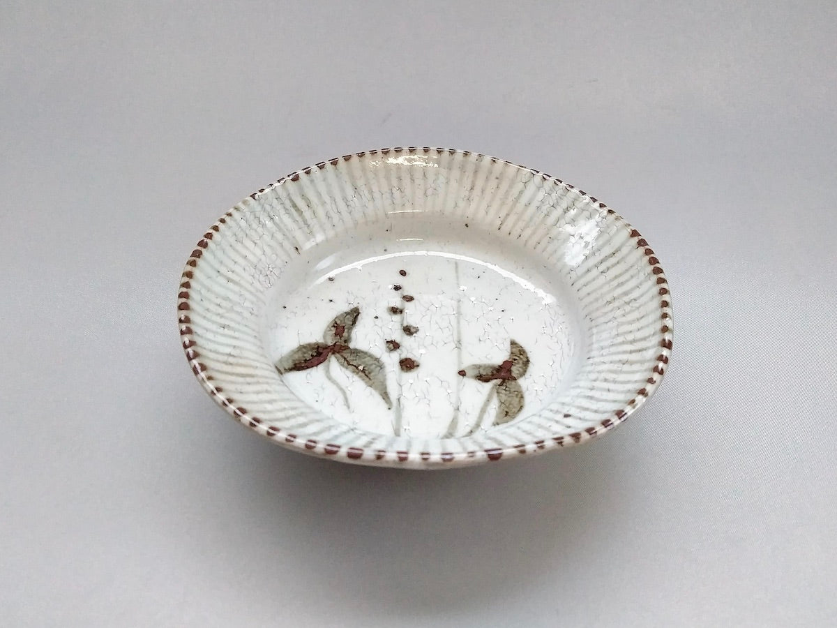 粉引錆おもだか四方小鉢【三浦繁久】