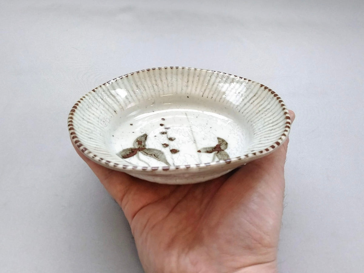 粉引錆おもだか四方小鉢【三浦繁久】