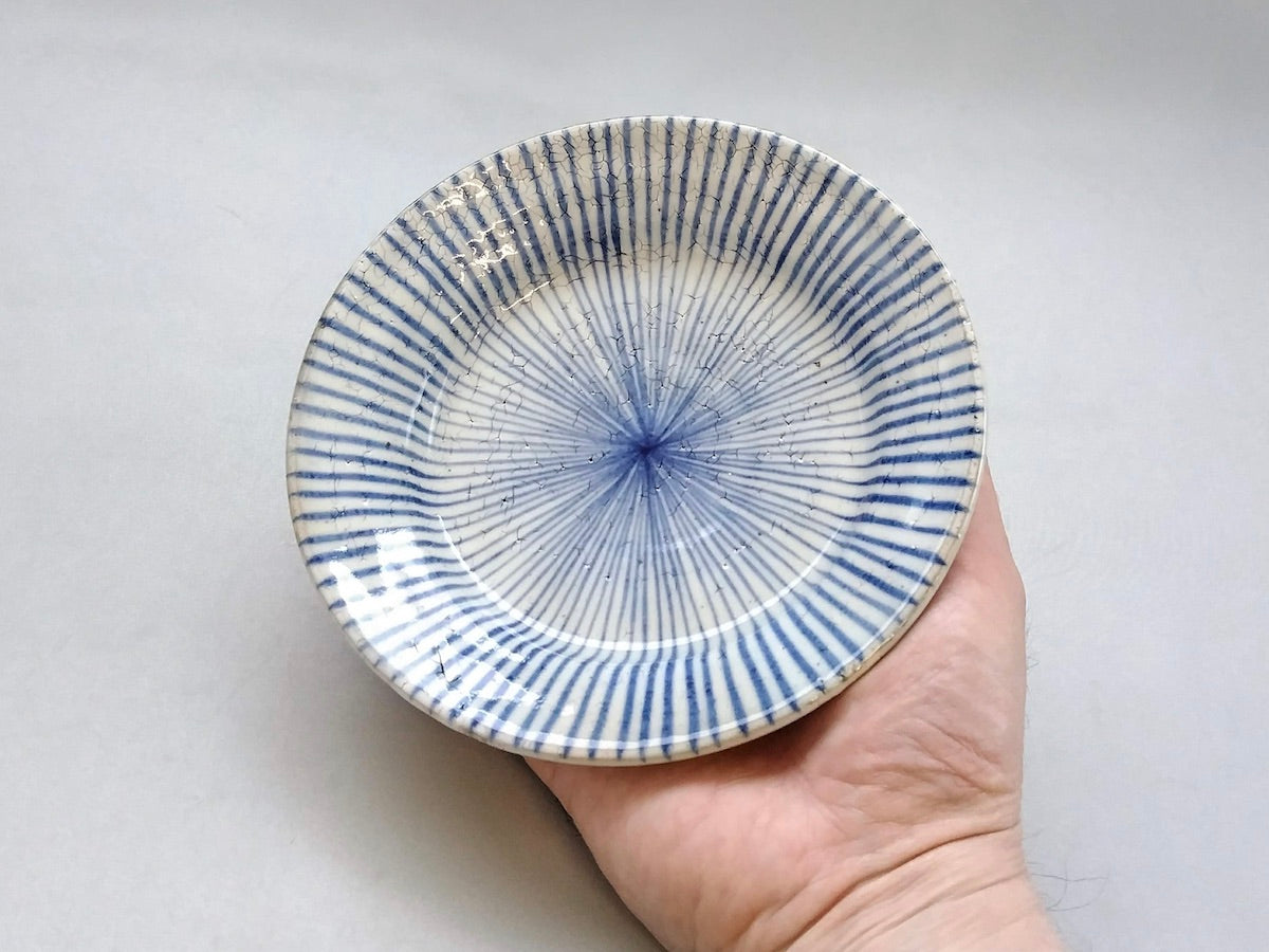 粉引十草5寸リム皿青【三浦繁久】