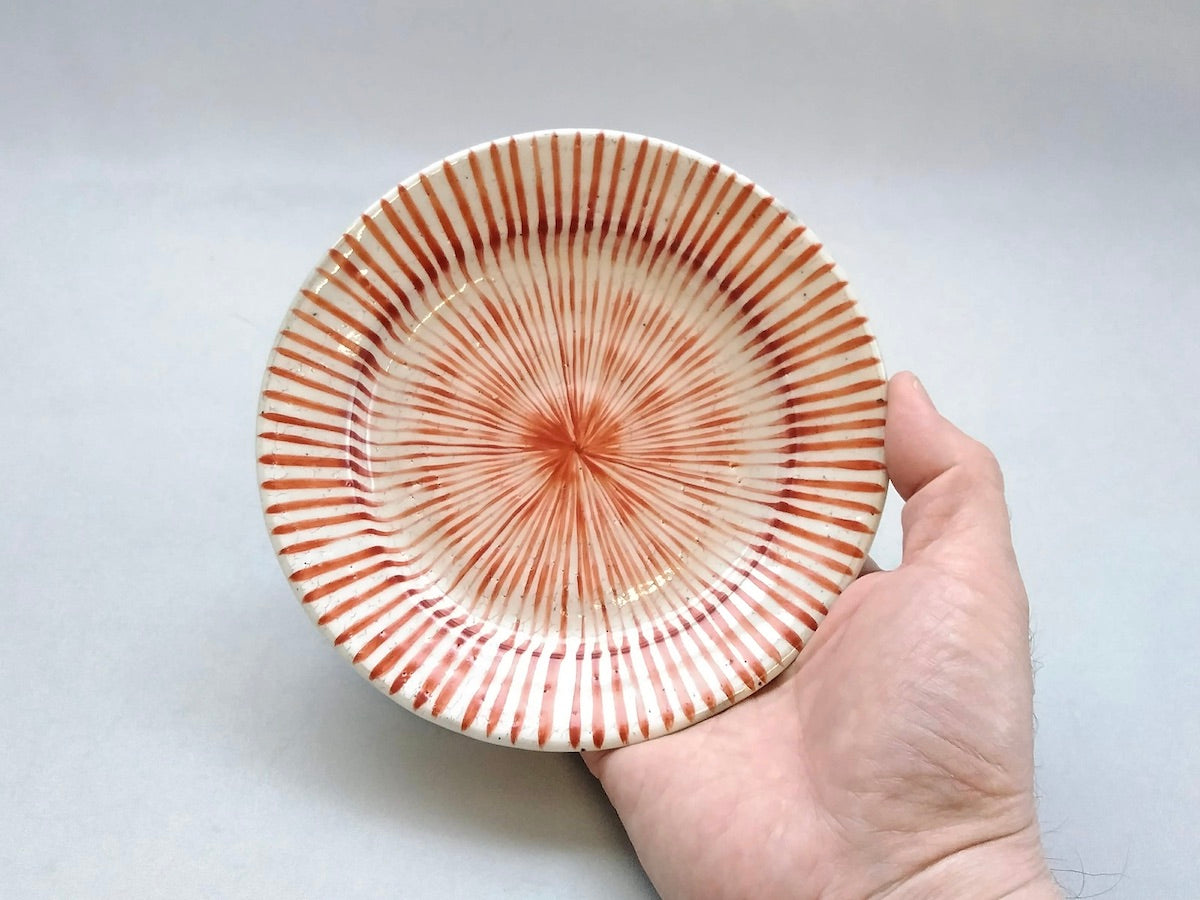 粉引十草5寸リム皿赤【三浦繁久】