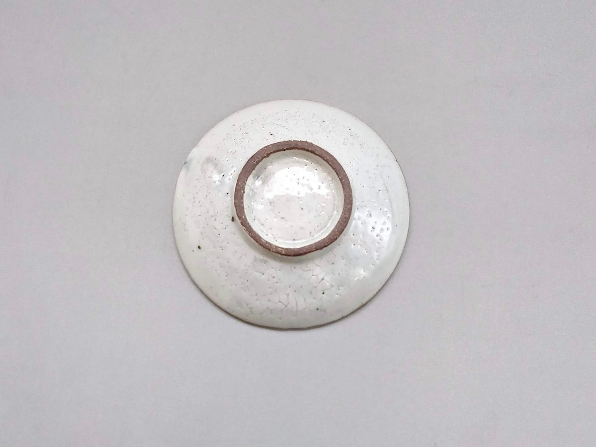 粉引十草3.5寸皿青【三浦繁久】