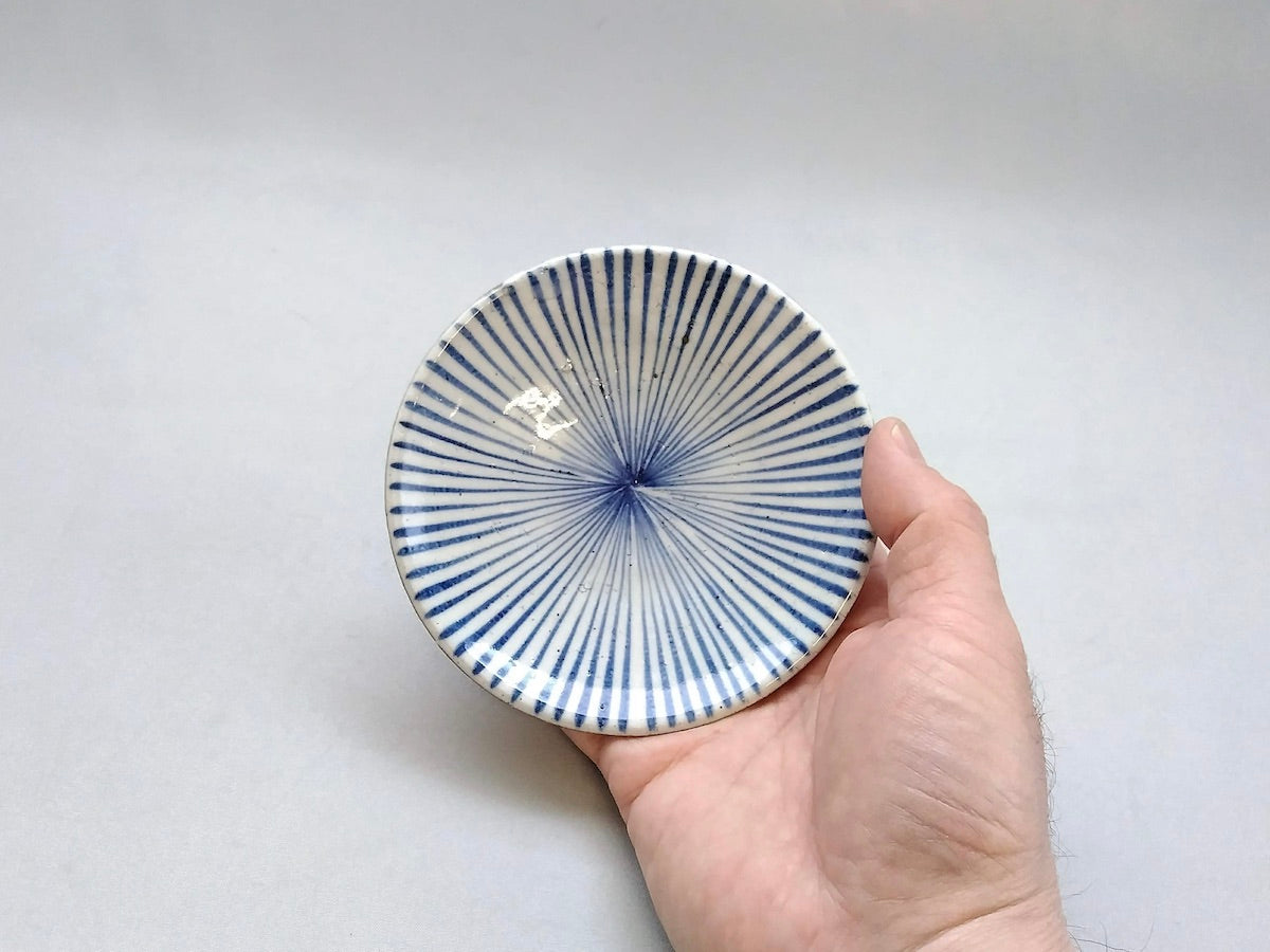 粉引十草3.5寸皿青【三浦繁久】