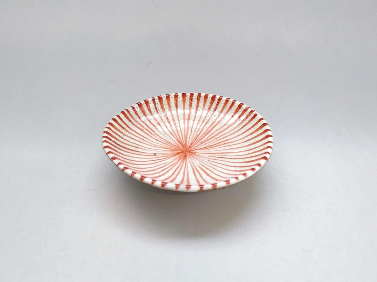 粉引十草3.5寸皿赤【三浦繁久】