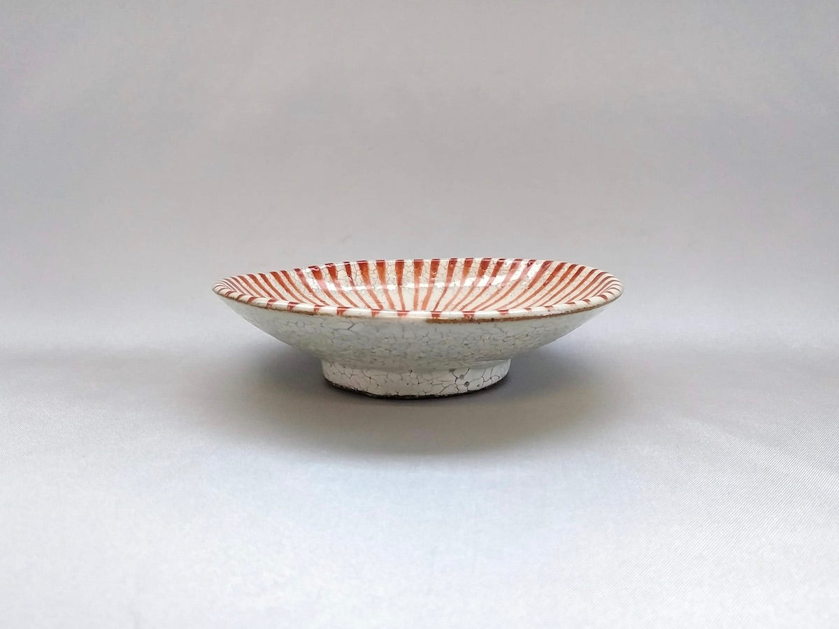 粉引十草3.5寸皿赤【三浦繁久】