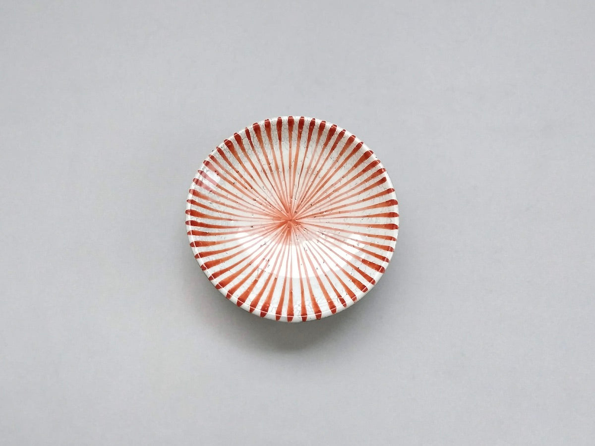 粉引十草3.5寸皿赤【三浦繁久】