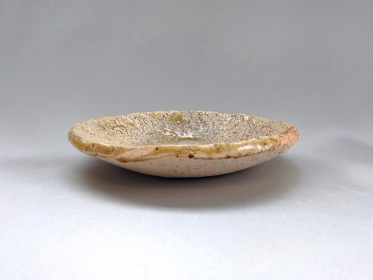 萩灰釉5寸皿【黒田岳】