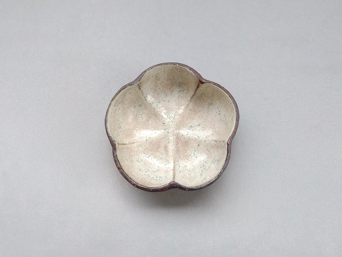 粉引輪花5皿【中川幹世】