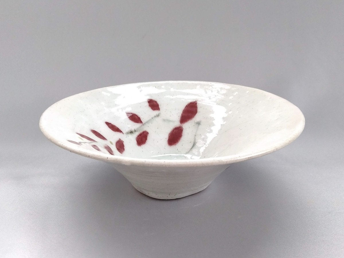 赤葉反り鉢大【巌陶房】