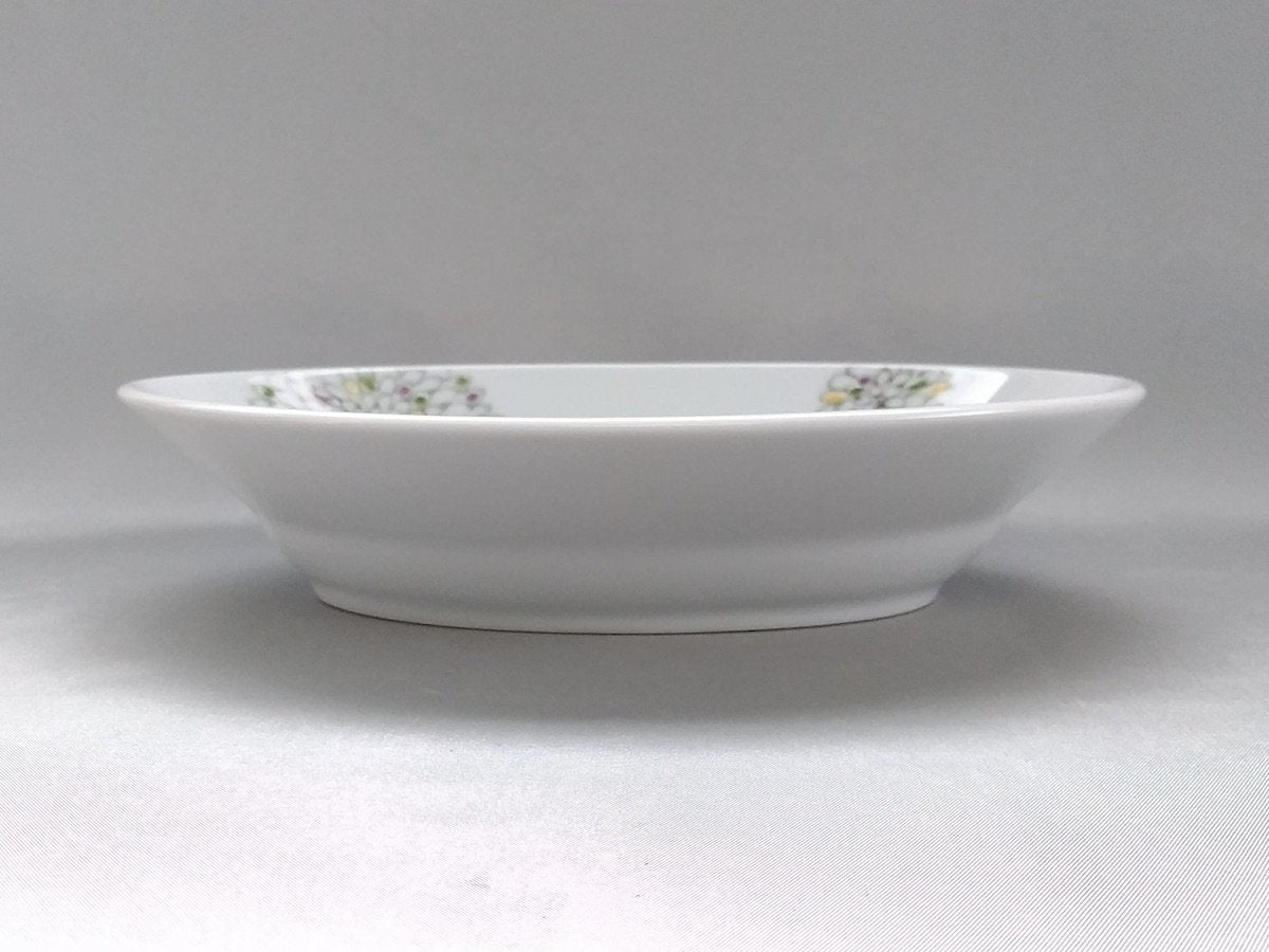 色絵菊楕円鉢大【徳七窯】