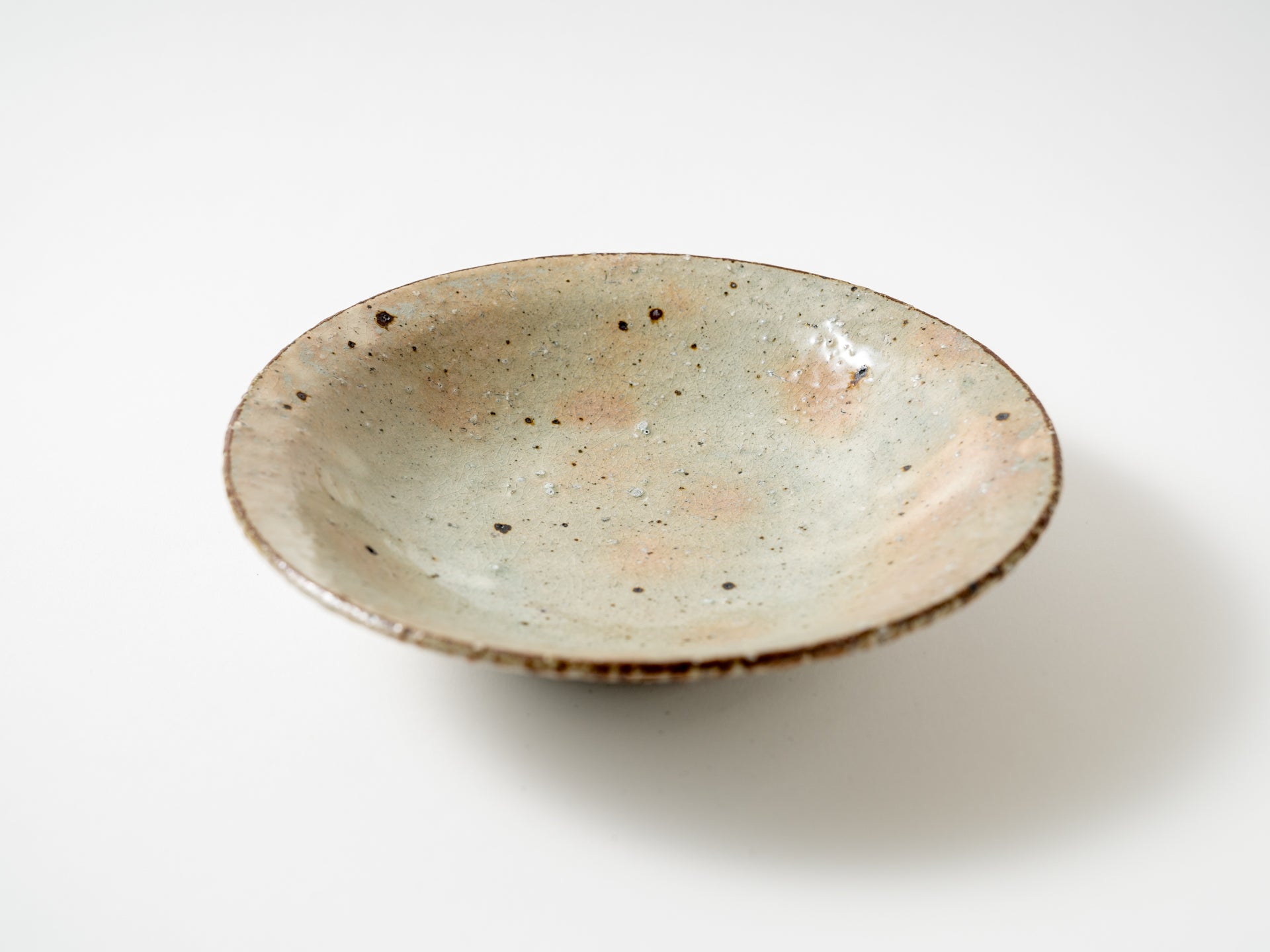 Shallow bowl with ash glaze [Shinichi Kotsuji]
