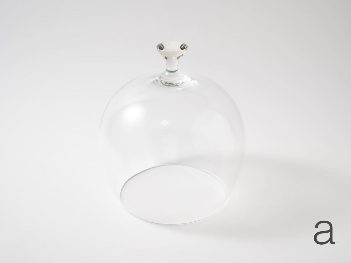 Glass dome “M”【古賀雄大ex24】