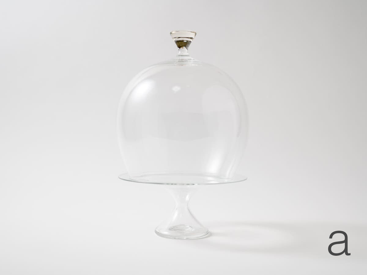 Glass dome “M”【古賀雄大ex24】