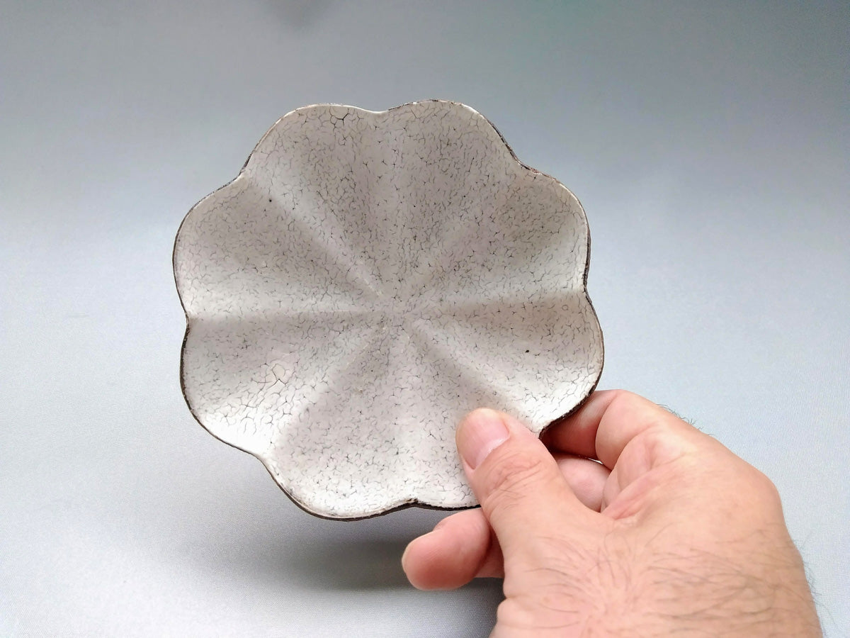 粉引輪花8花びら皿 小【中川幹世】