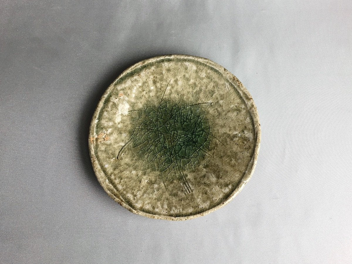Vidro grass pattern 5-inch plate [Nobumasa Kiminami]