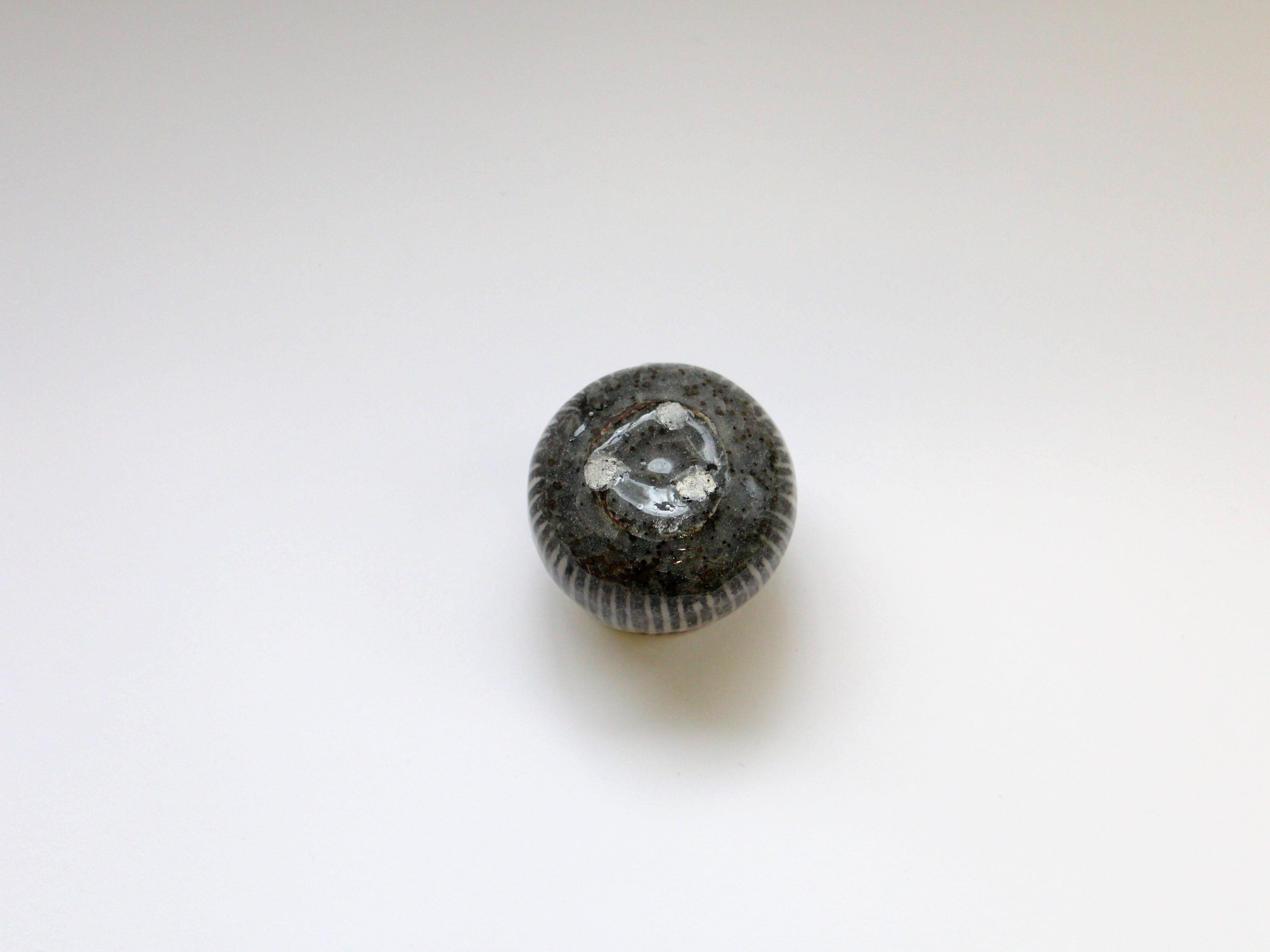 鼠志野十草ツボツボ【三浦繁久】