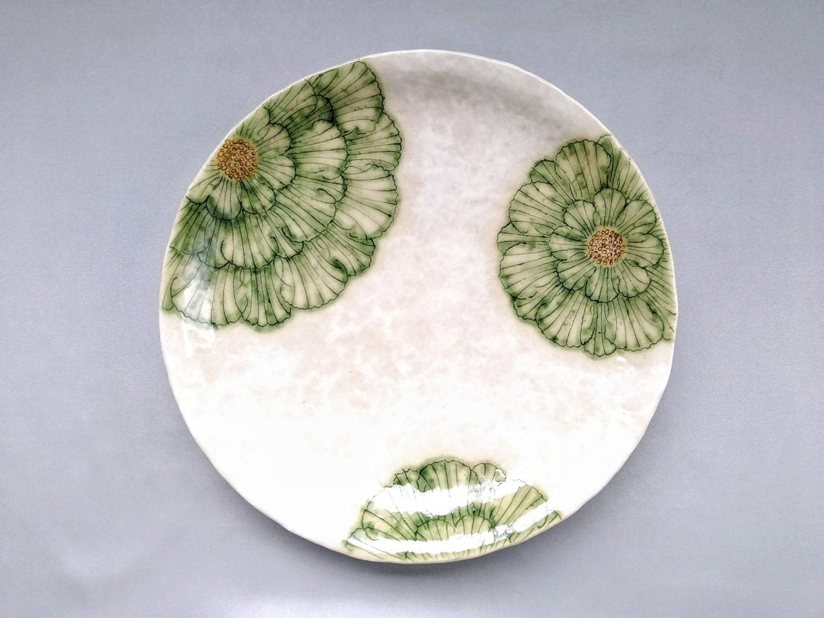 Powdered ground peony 7.5-inch round plate green [Yoshihei Kato]