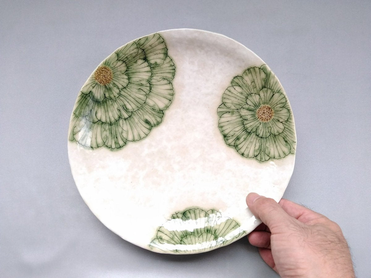 Powdered ground peony 7.5-inch round plate green [Yoshihei Kato]