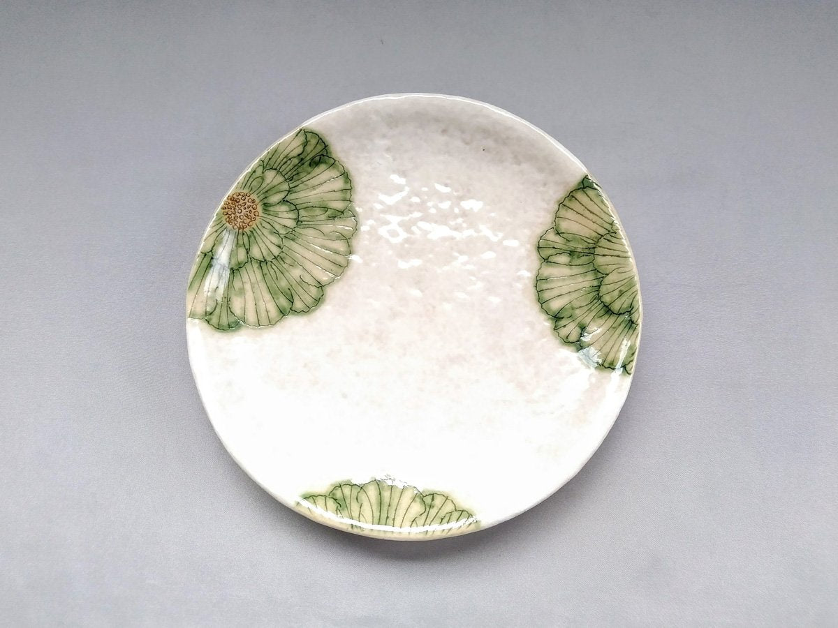 Powdered ground peony 6.5-inch round plate green [Yoshihei Kato]