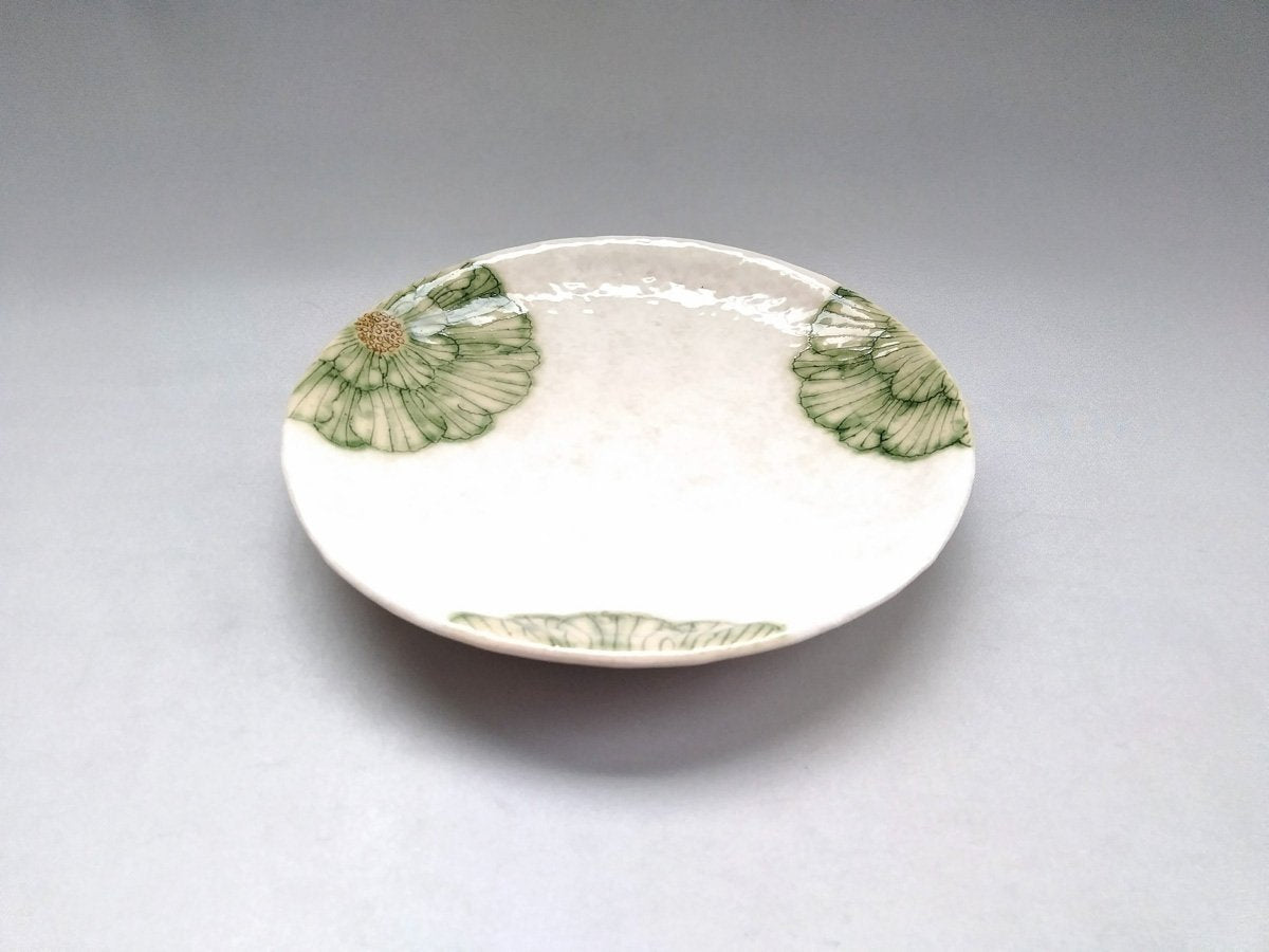 Powdered ground peony 6.5-inch round plate green [Yoshihei Kato]