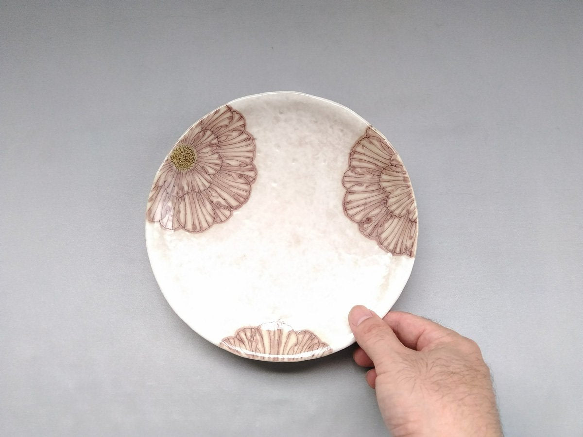 Powdered ground peony 6.5-inch round plate, purple [Yoshihei Kato]
