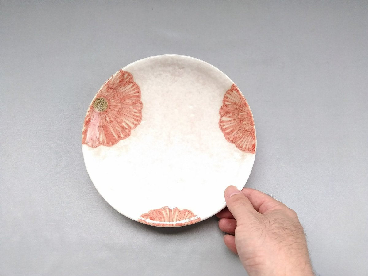 Powdered peony 6.5 inch round plate red [Yohei Kato]
