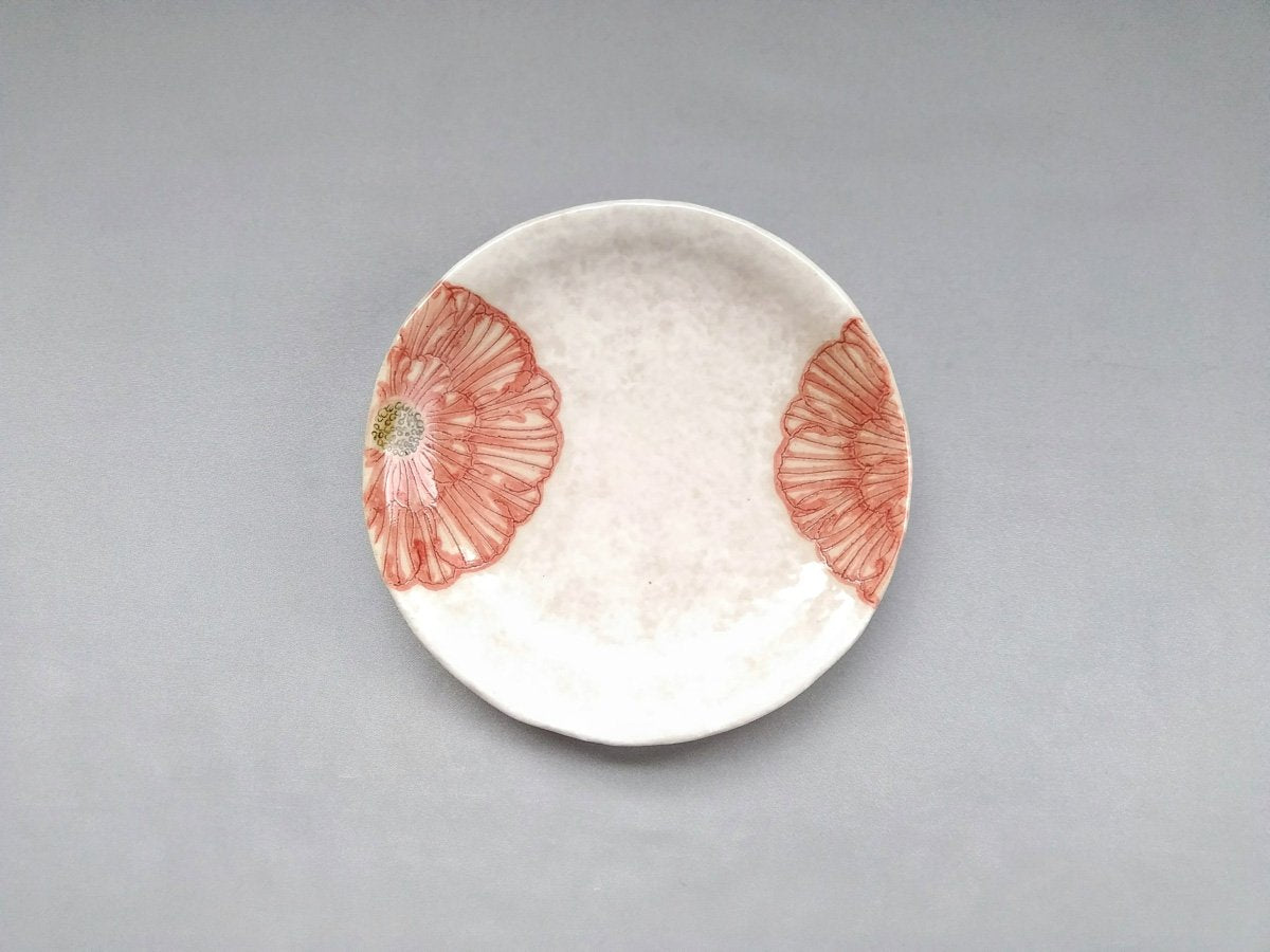 Powdered peony 5.5 inch round plate red [Kato Kohei]