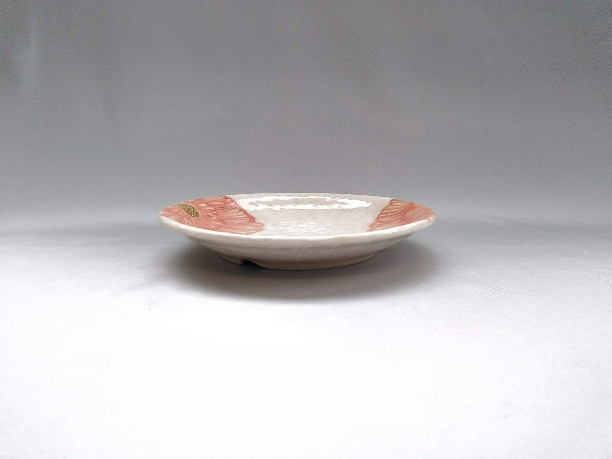 Powdered peony 5.5 inch round plate red [Kato Kohei]