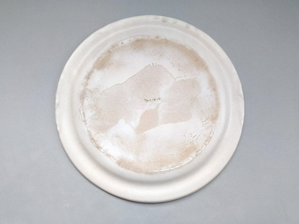 Color matte rim plate large white [Takuya Ohara]
